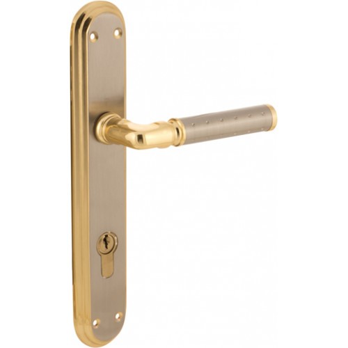 Buy PEAK M-321, 10 inches Mortice Door Handle Set with Lock Body, Silver  Gold