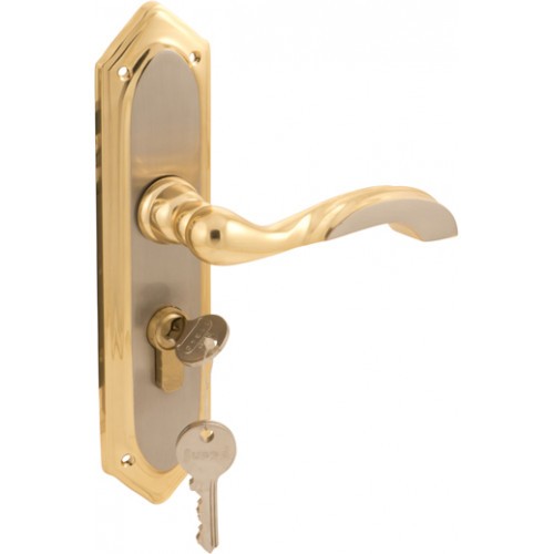 Buy PEAK M-321, 10 inches Mortice Door Handle Set with Lock Body, Silver  Gold