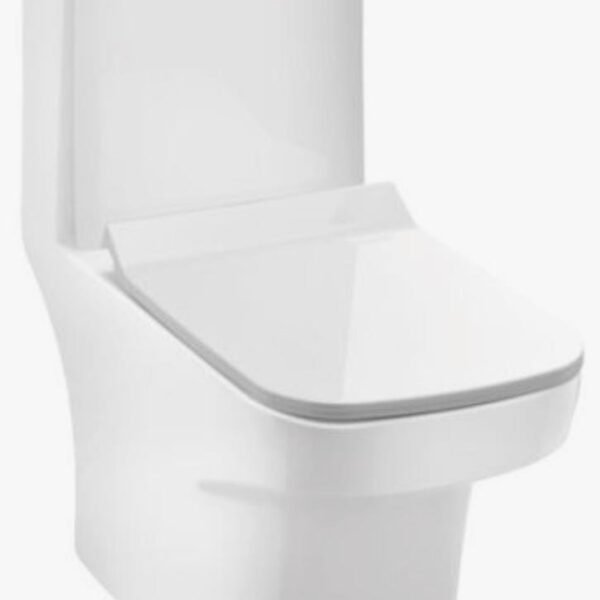 WESTERN CLOSET APEX S/P (YP4327)