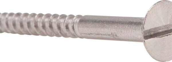 SCREW  WOOD PLAIN 50X8 (S2532)