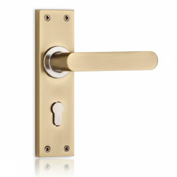 MORTICE LOCK  ANTQ KY ZS  2052 (L1254)