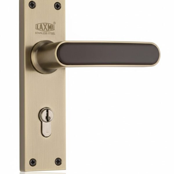MORTICE LOCK  ANTQ KY 8 INCH ZS 2008 (L1331)
