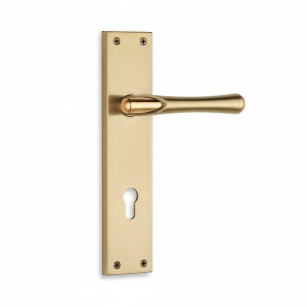 MORTICE LOCK SS 10 INCH ANTQ - 1336 (L1997)