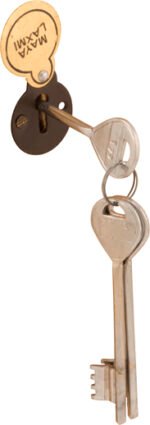 DOOR LOCK 4 1/2 INCH BRASS  (L1809) - Image 3