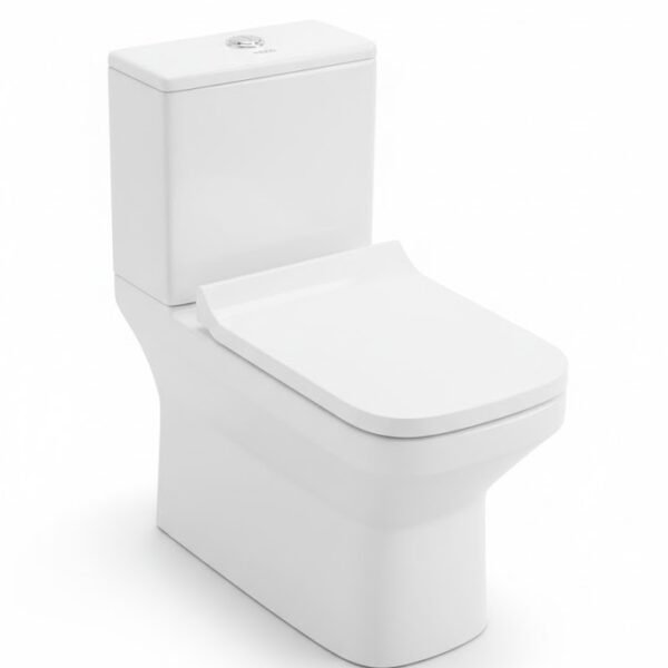 WESTERN CLOSET AIS-101853S220SPPSM (YB7501)