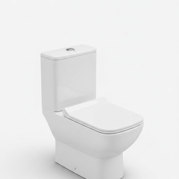 WESTERN CLOSET KS722 RIMLESS(K) (YB7519)