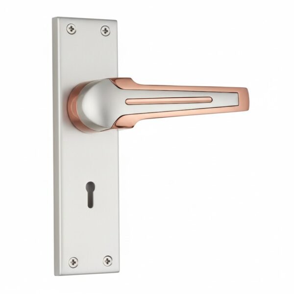 MORTICE LOCK 8 INCH BLACK / ROSE Z 521 (B5949)