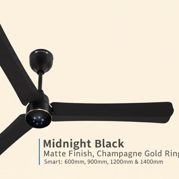 FAN RENESA HALO C/F 24 INCH MID.BLK (YAT1278)