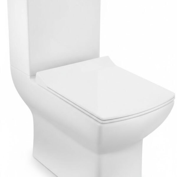 WESTERN CLOSET LYS-38851S300UFSMN S/P WHITE (YJ1429)