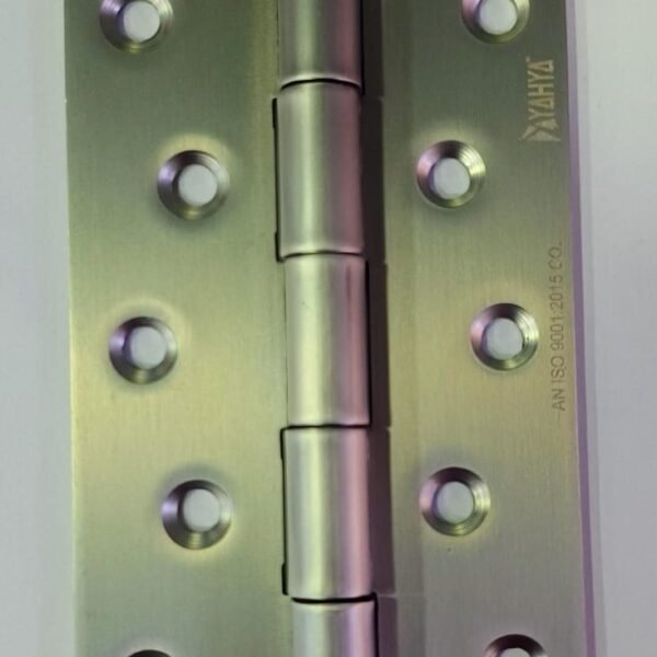 HINGES SS 5 X 10 INCH B.H.P. (H1223)