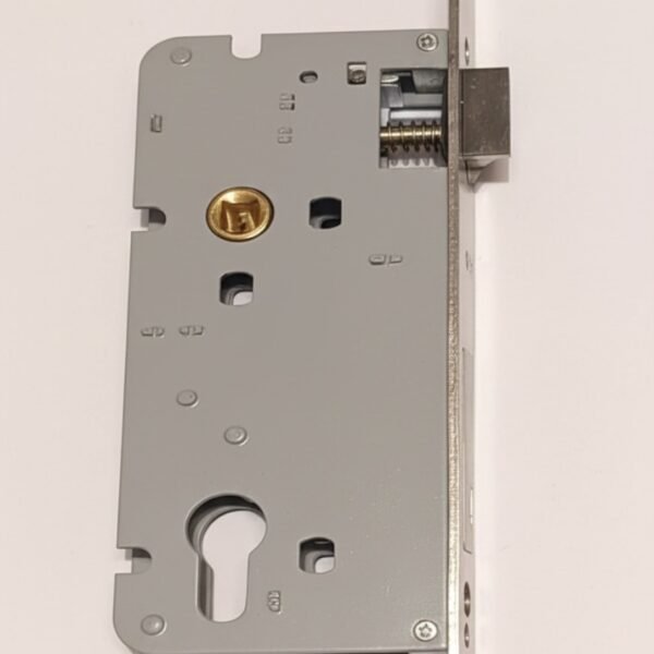 MORTICE ONLY LOCK 10 INCH BIG EKRI S/DOOR(L3060)